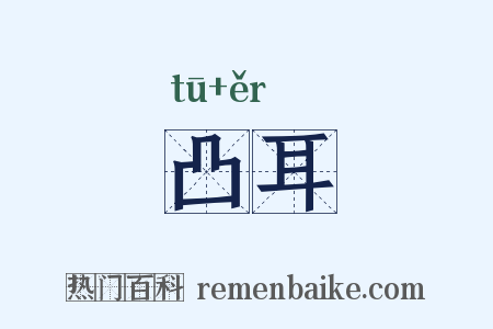 凸耳是什么意思的图片